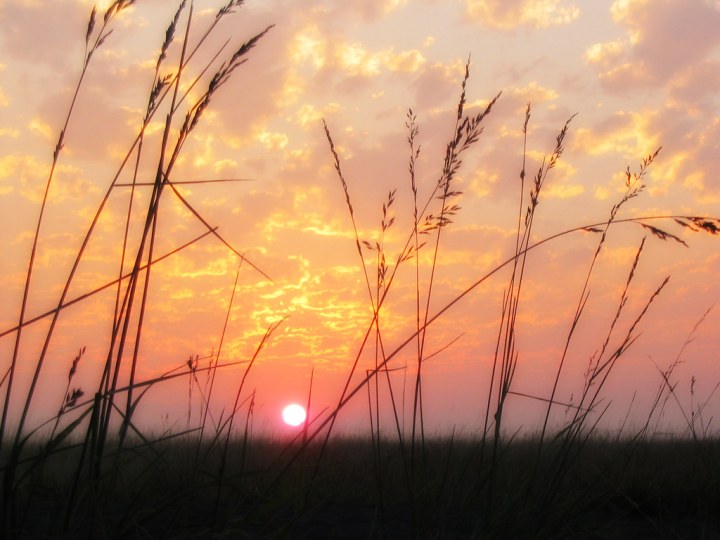 Sermon, Lent 5B, John 12:20-33, Seeing, Unless, Conditionals