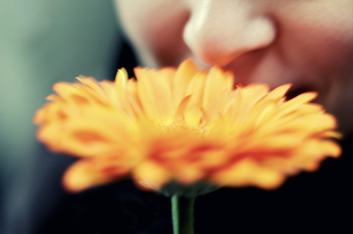 Person smelling yellow flower