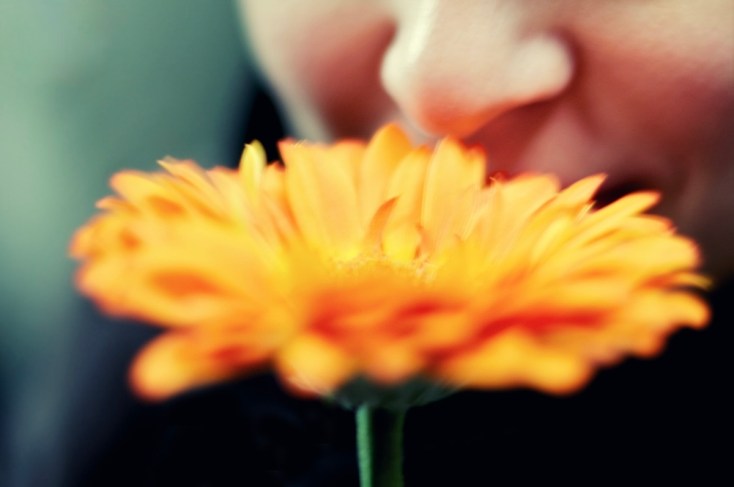 Person smelling yellow flower